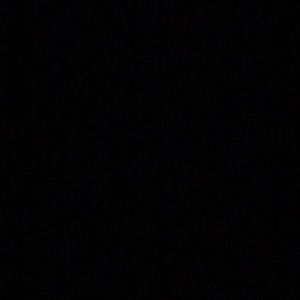 Meet your Posher, Bryce